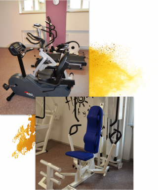 _wpframe_custom/gallery/files/wpf_sitemanager/t_grafik_medizinische_fitnesspng_1562655304.png